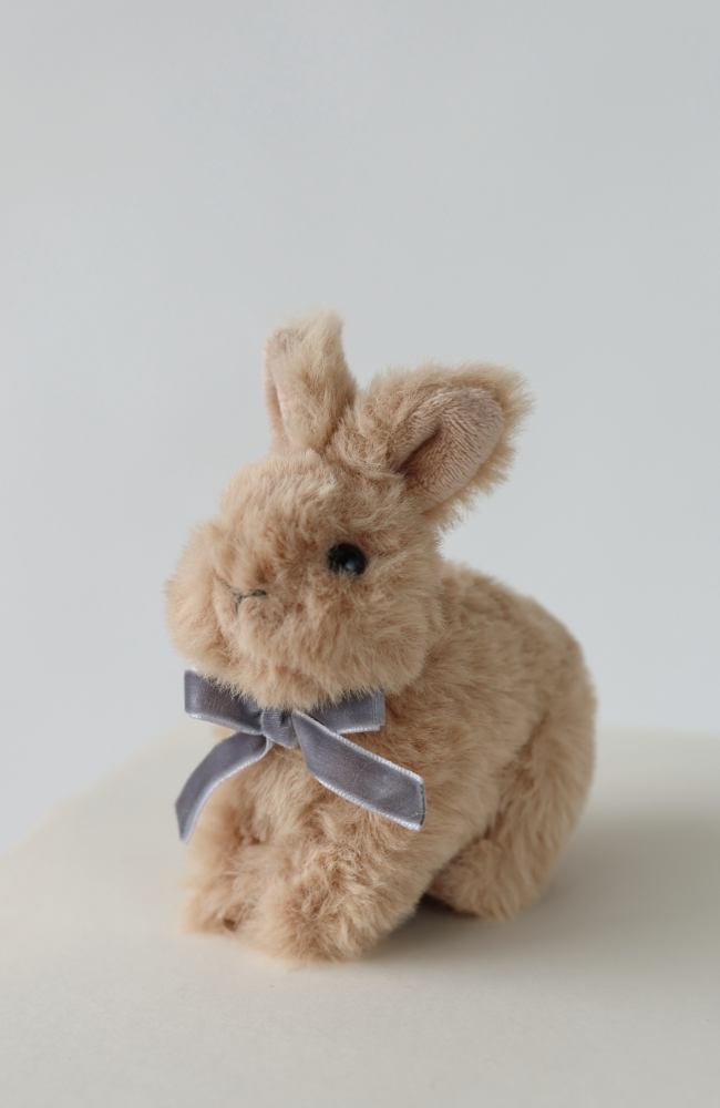 Baby Animals - Bunny Brown