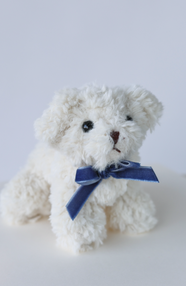 Baby Animals - Dog w/ Blue Bow
