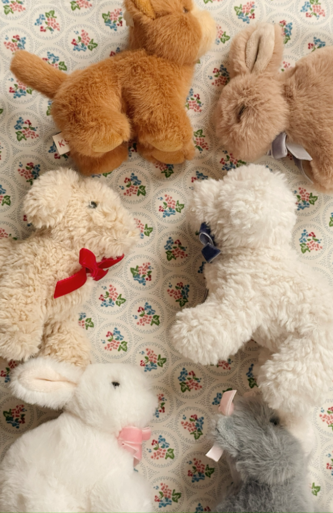 Baby Animals - Bunny Brown