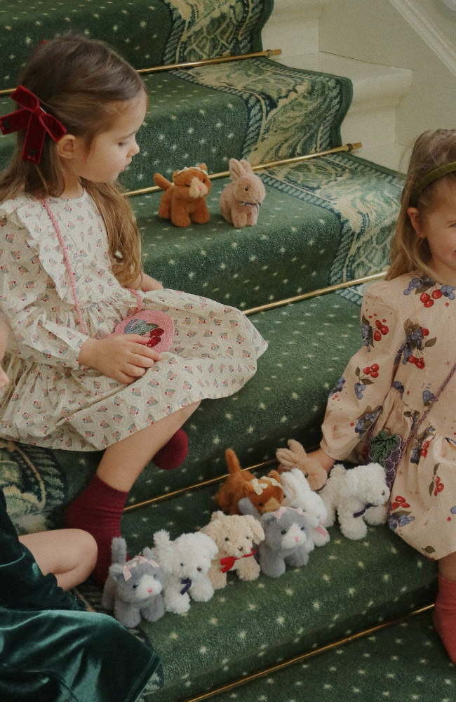 Baby Animals - Bunny Brown