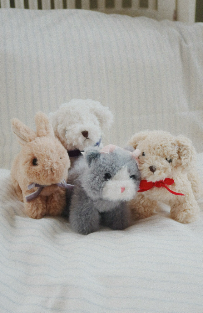 Baby Animals - Bunny Brown