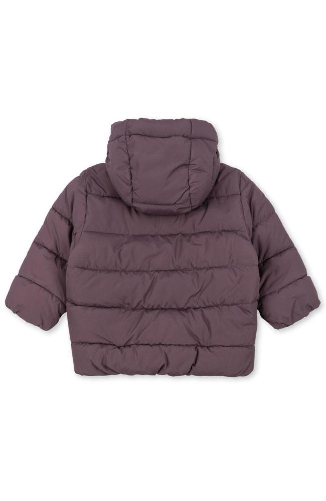 Alpi Winter Jacket - Hortensia