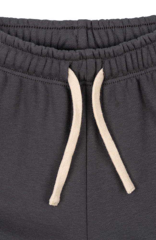 Lou Sweat Pants - Magnet