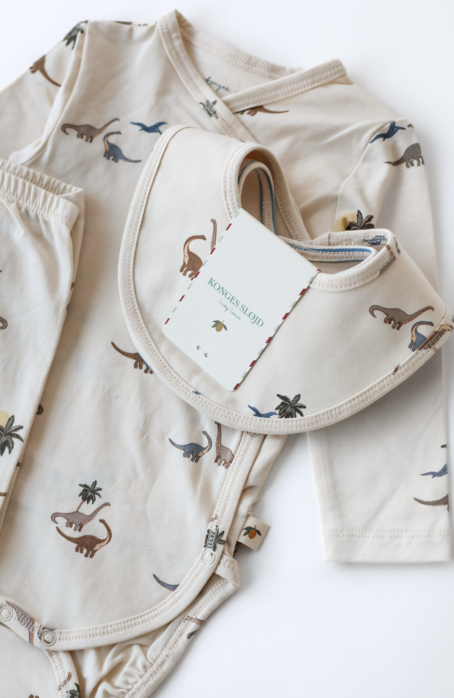 2 Pack Basic Bib - Kubi/Stripe Bluie