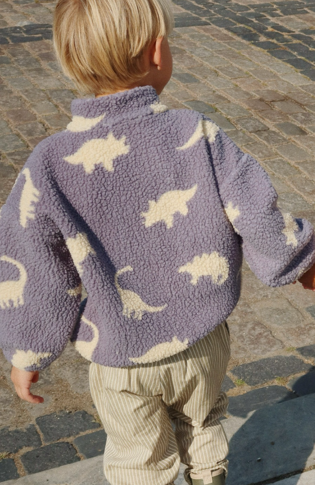 Jordy Teddy Jacket - Dino Mist