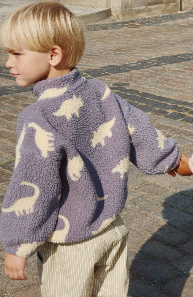 Jordy Teddy Jacket - Dino Mist