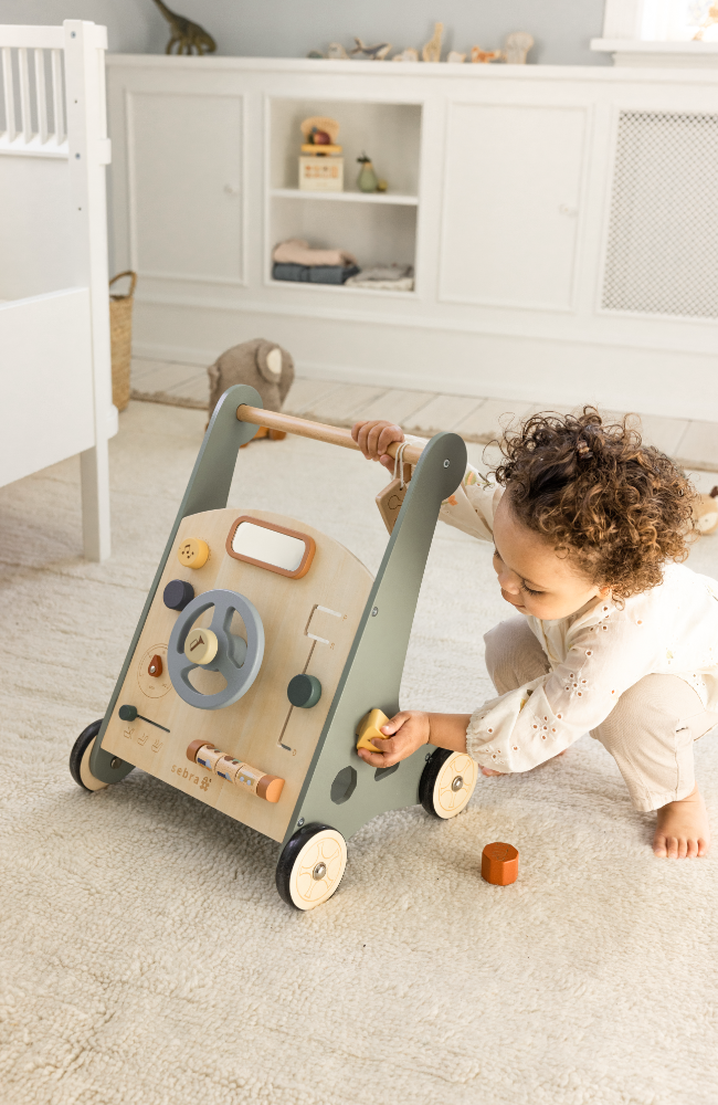 Activity Walker - Car