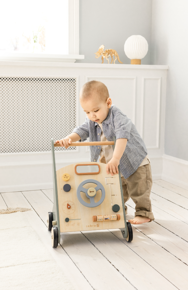 Activity Walker - Car