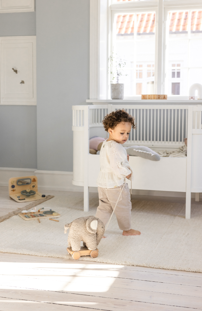 Fanto The Elephant - Pull Along Toy