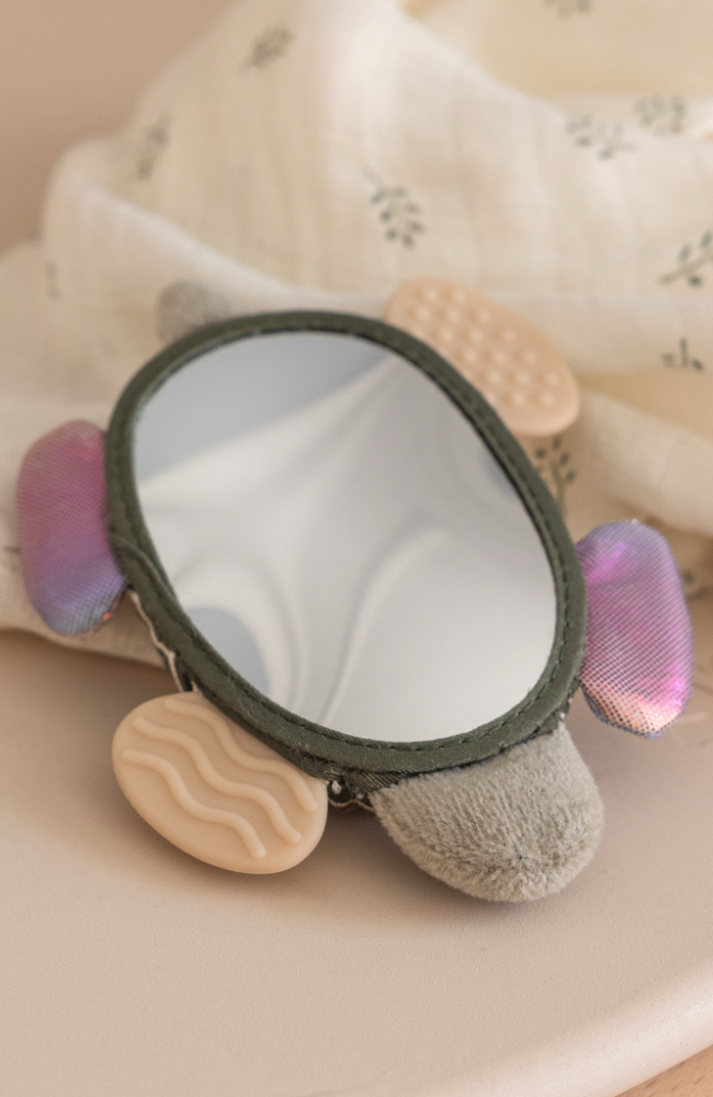 Activity Rattle with Mirror - Turbo the Turtle