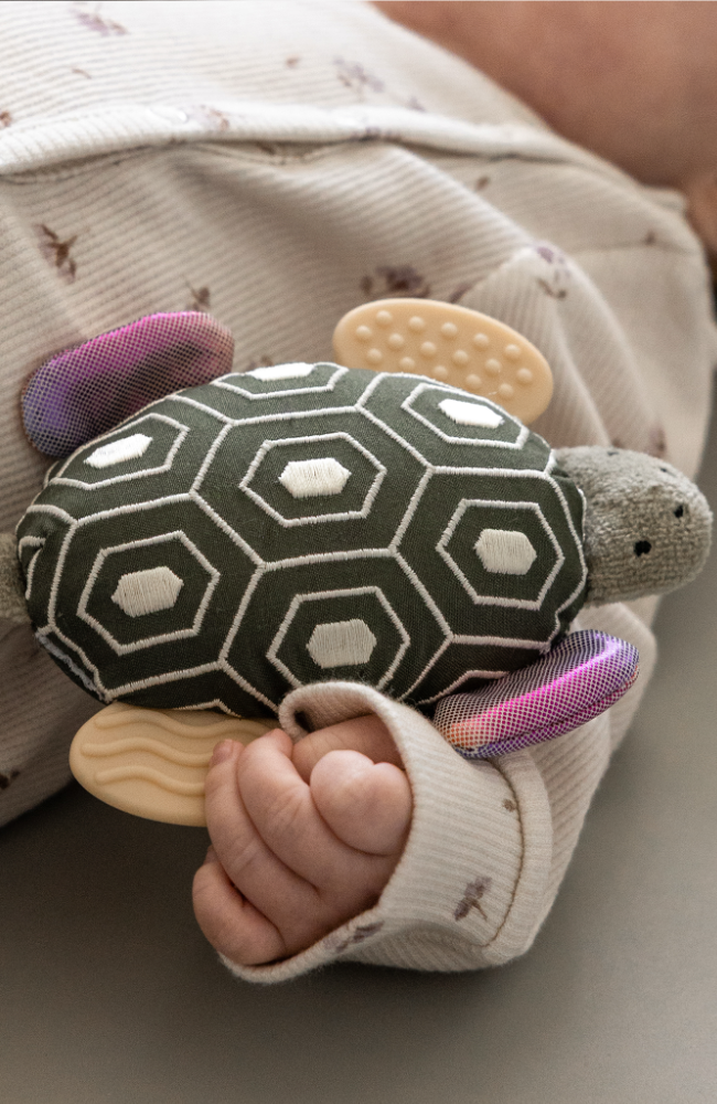 Activity Rattle with Mirror - Turbo the Turtle