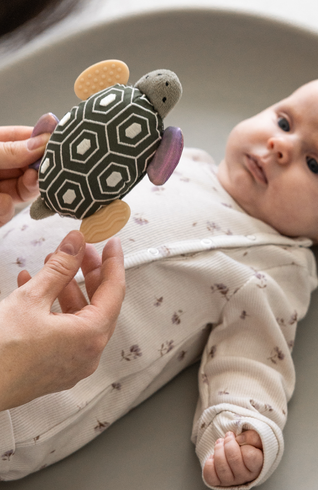 Activity Rattle with Mirror - Turbo the Turtle