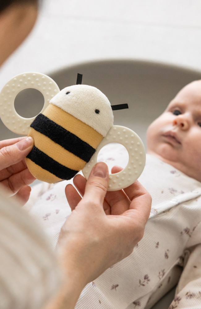 Activity Rattle with Mirror - Billy the Bee