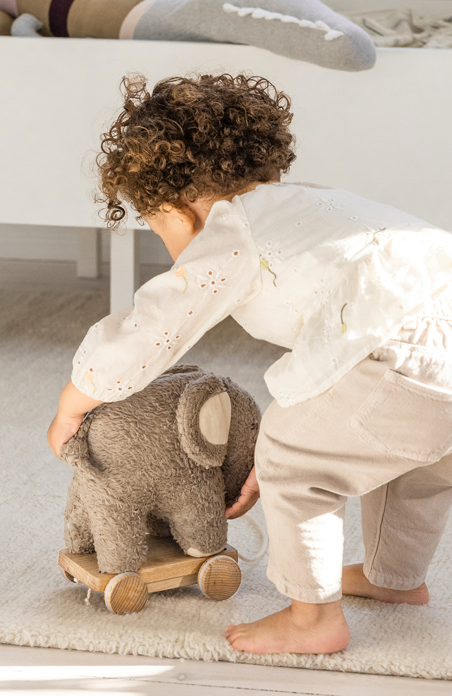 Fanto The Elephant - Pull Along Toy