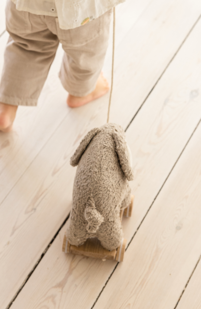 Fanto The Elephant - Pull Along Toy