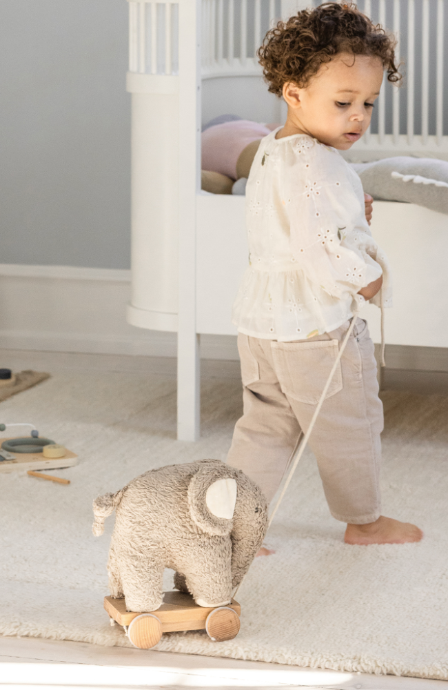 Fanto The Elephant - Pull Along Toy