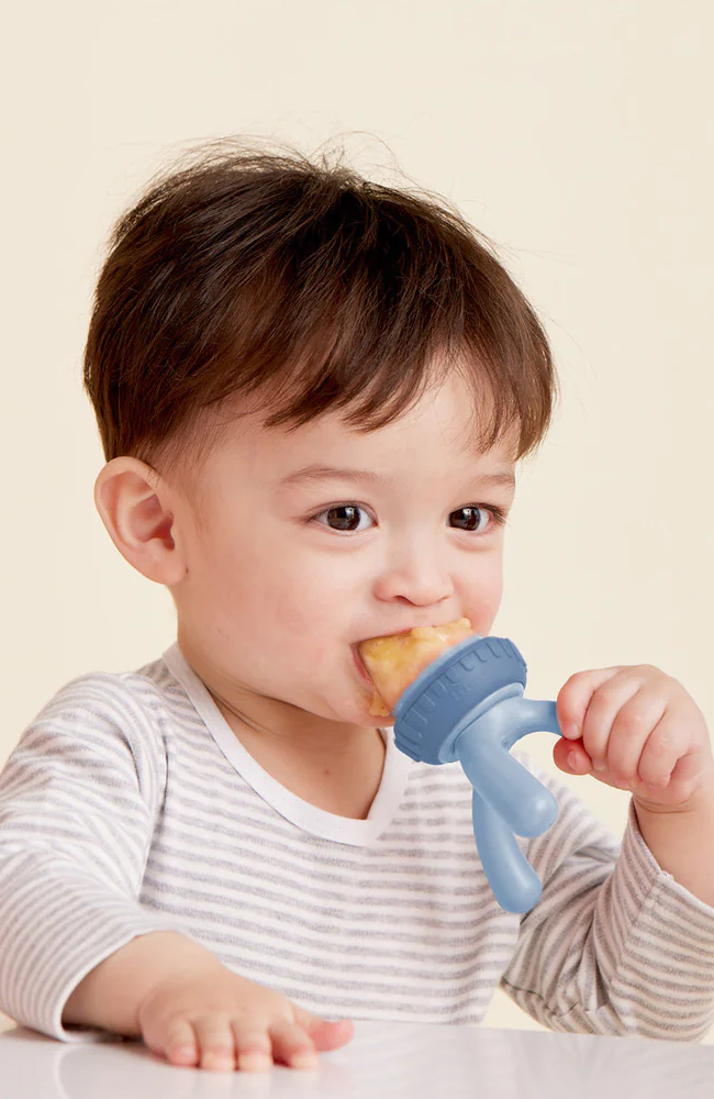 Silicone Fresh Food Feeder - Sage