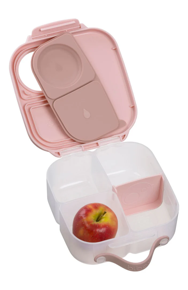 Mini Lunchbox - Blush Crush
