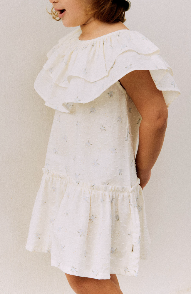 Dress Bitten - Blue Flowers