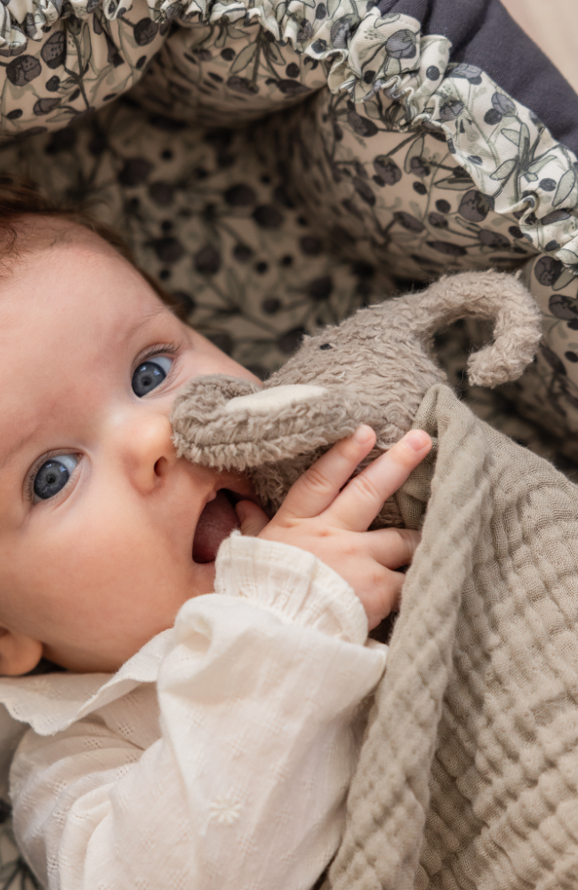 Comfort Blanket - Finley The Elephant