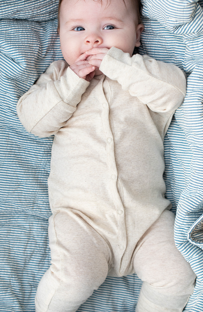 Baby Suit - Shell