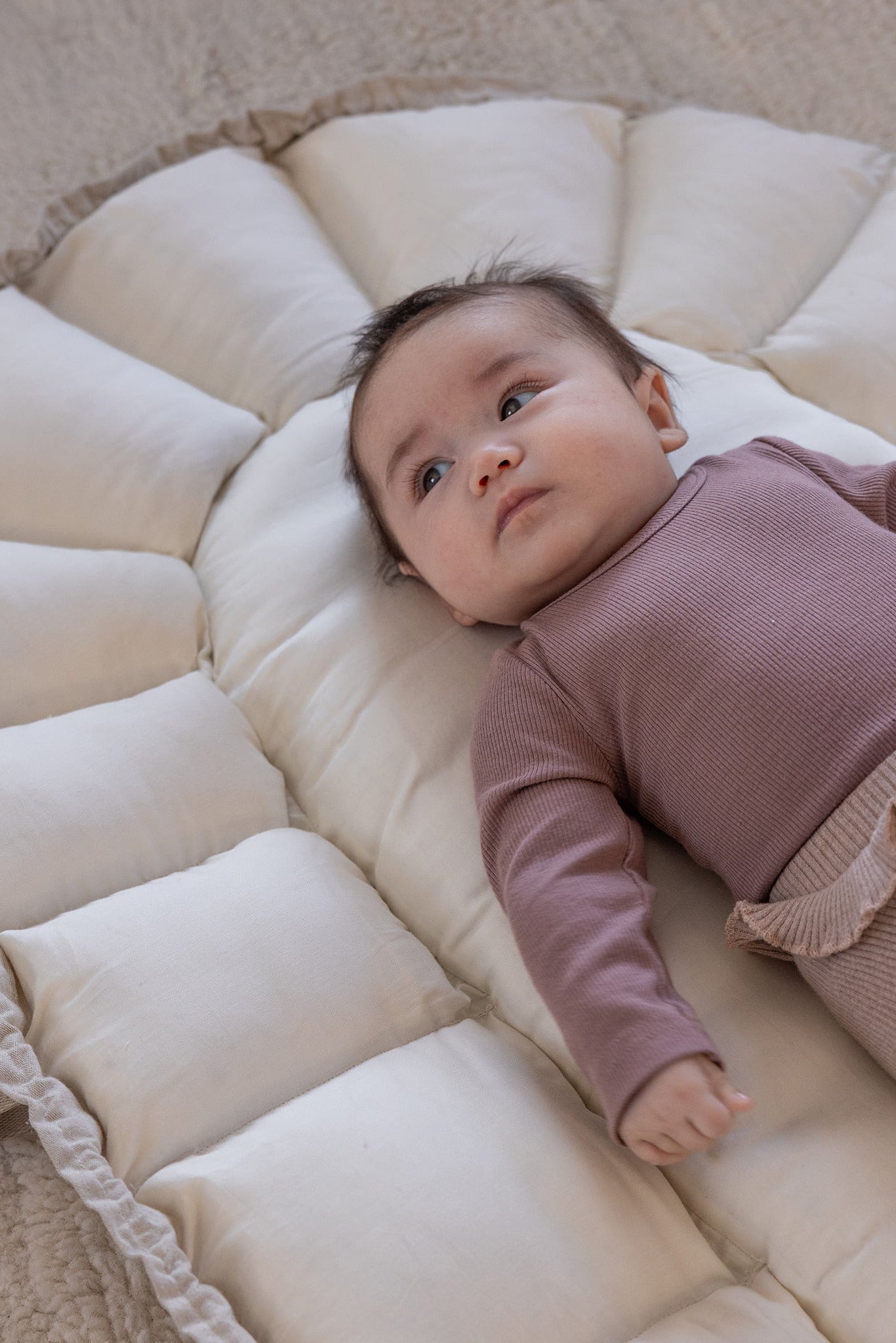 Sebra 3-in-1 Baby Nest - Beige Melange