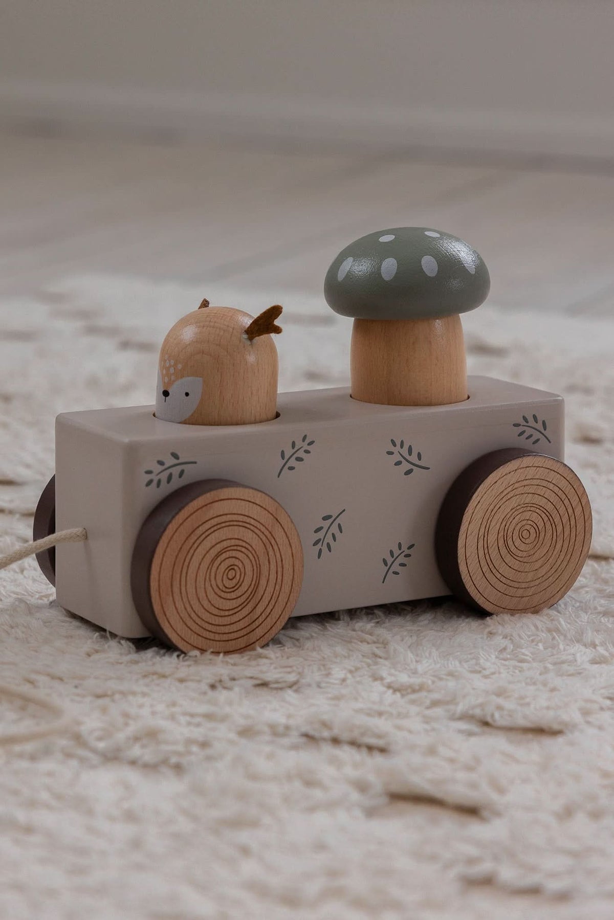 Pop-up Pull-along Toy