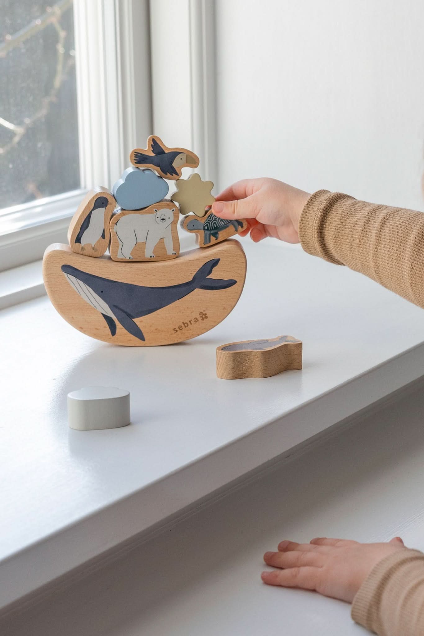 Balance Toy