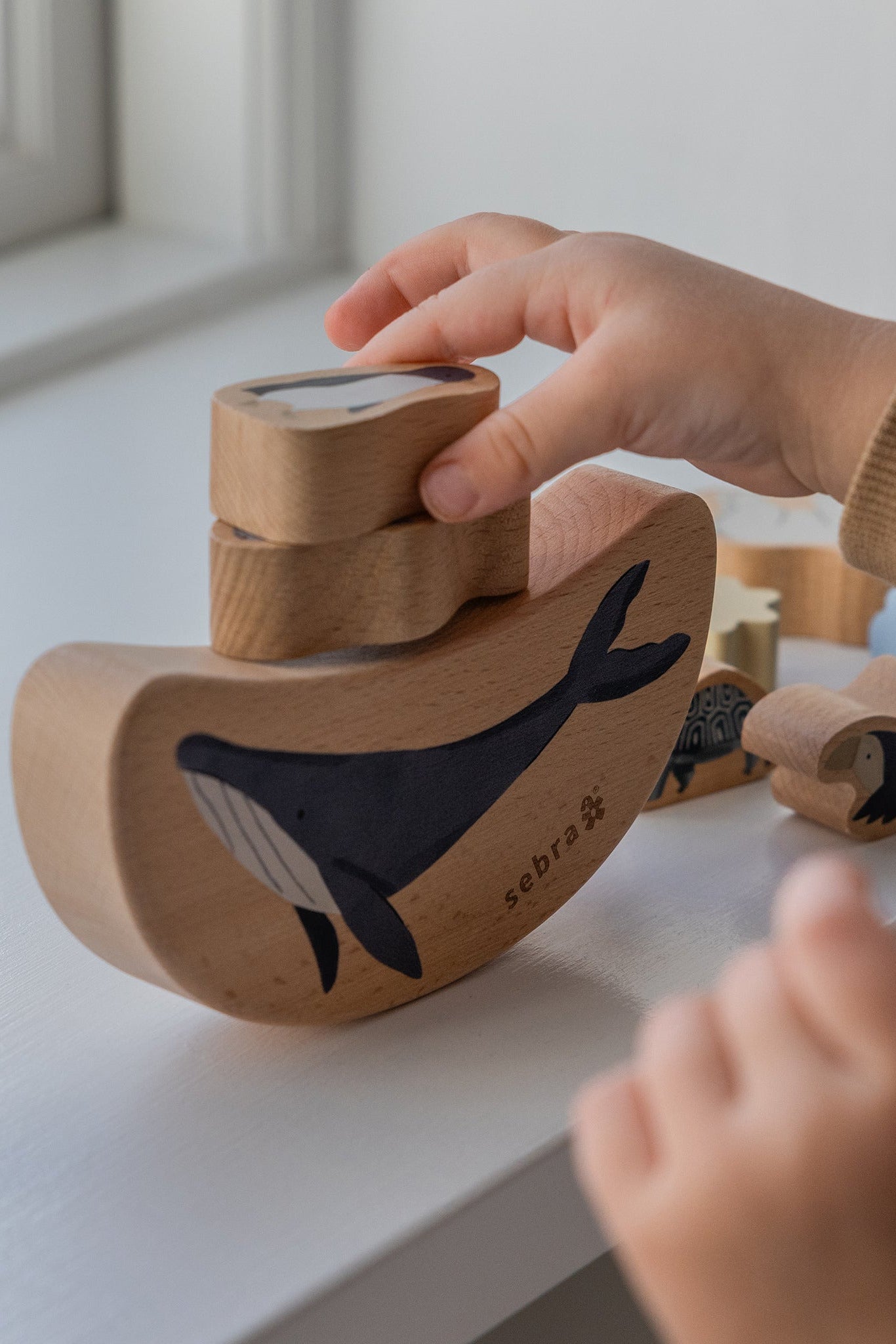 Balance Toy