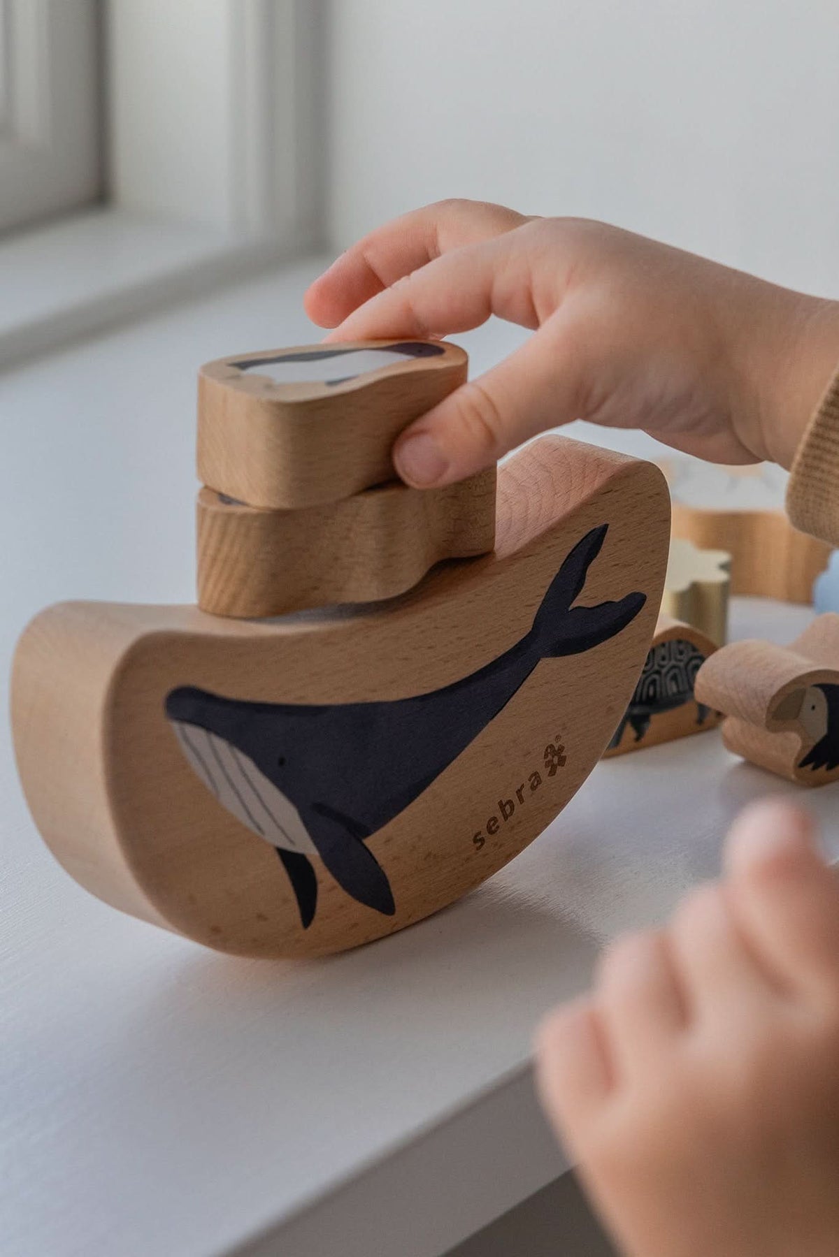 Balance Toy