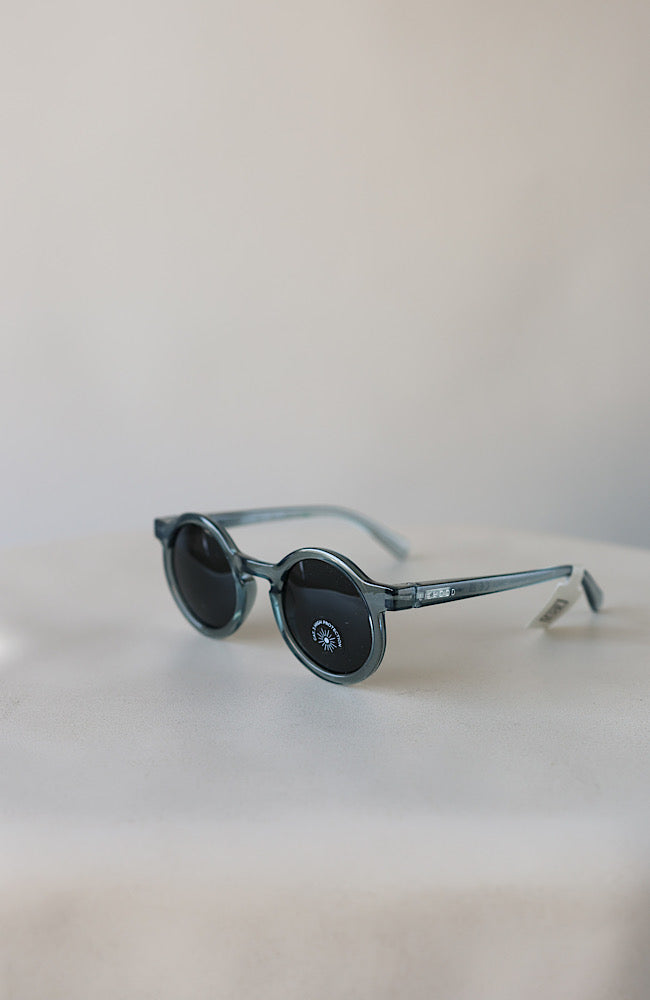 Darla Sunglasses - Whale Blue Transparent