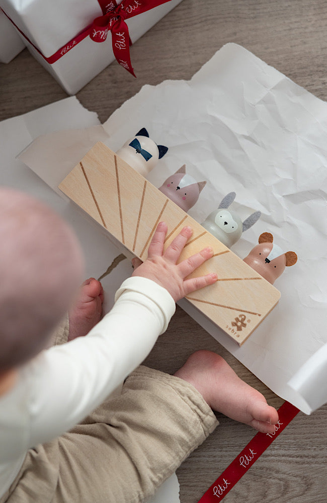 Wooden Pop Up Toy
