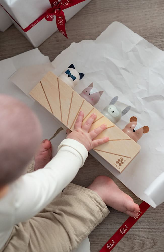 Wooden Pop Up Toy