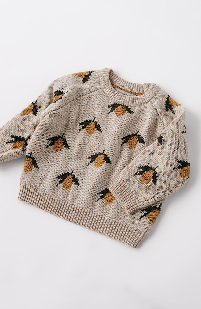 Belou Knit Wool Sweater - Lemon