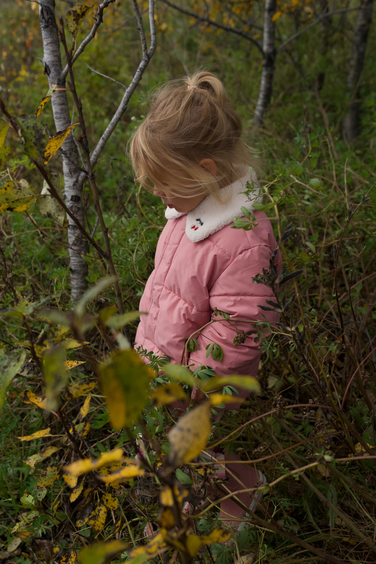 Alpi Collar Jacket - Rosette