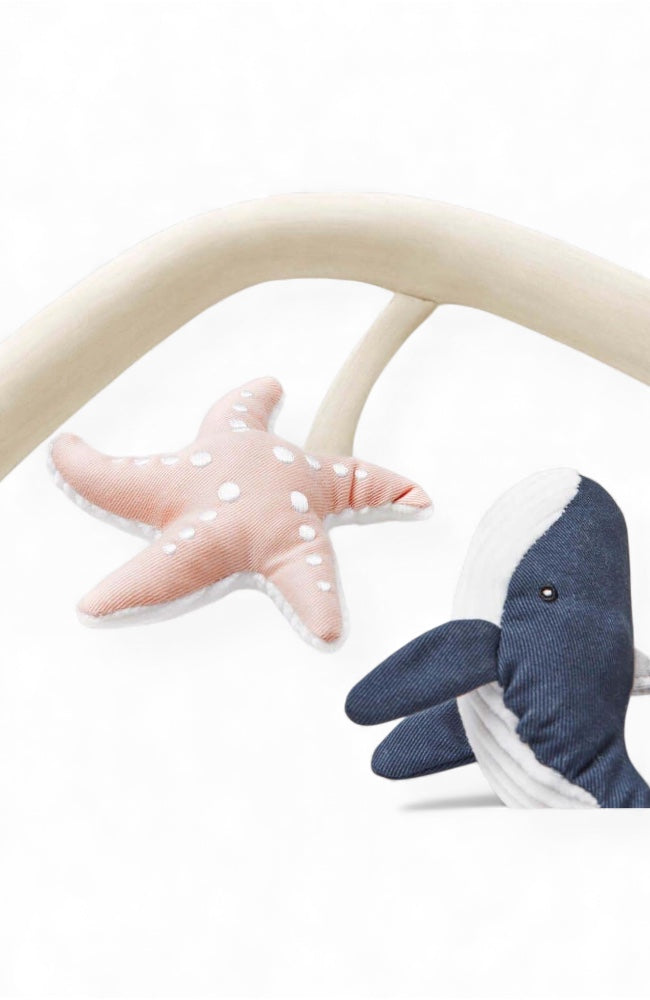 Evolve Bouncer Toy Bar - Creme