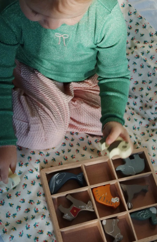 Wooden Mini Animals - Multi