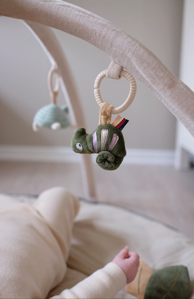Play Gym - Wildlife