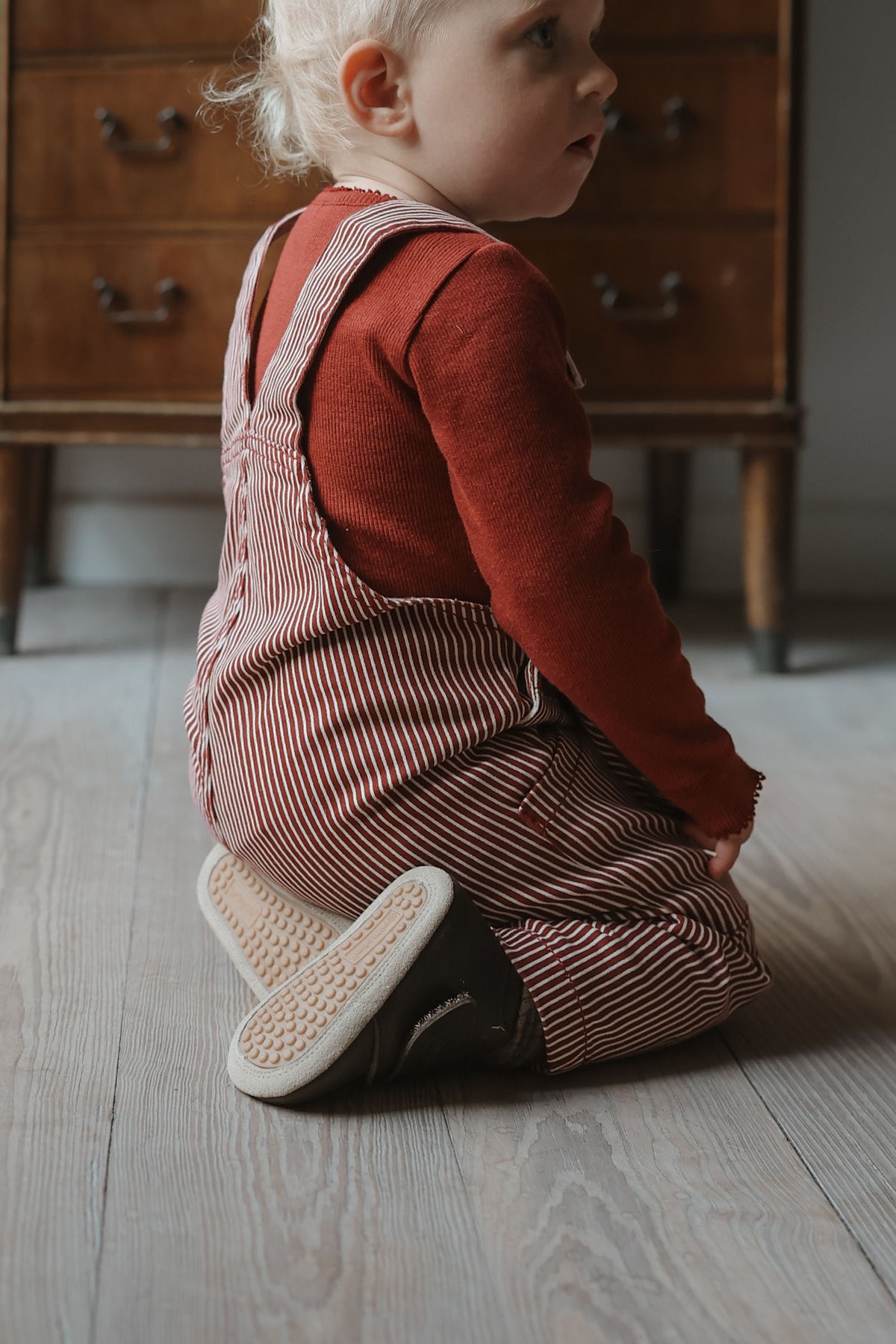 Denim Overalls - Syrah Striped
