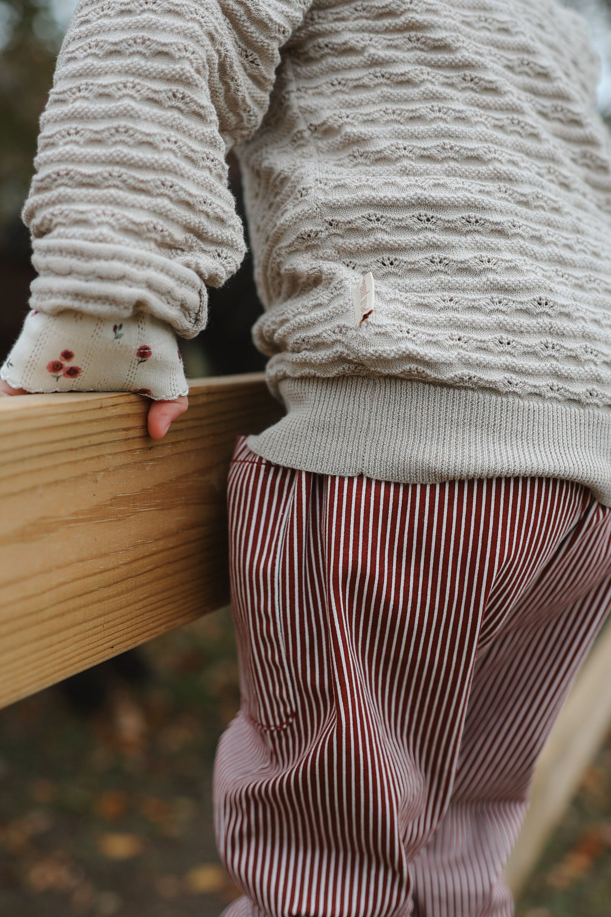 Denim Pants - Syrah Striped