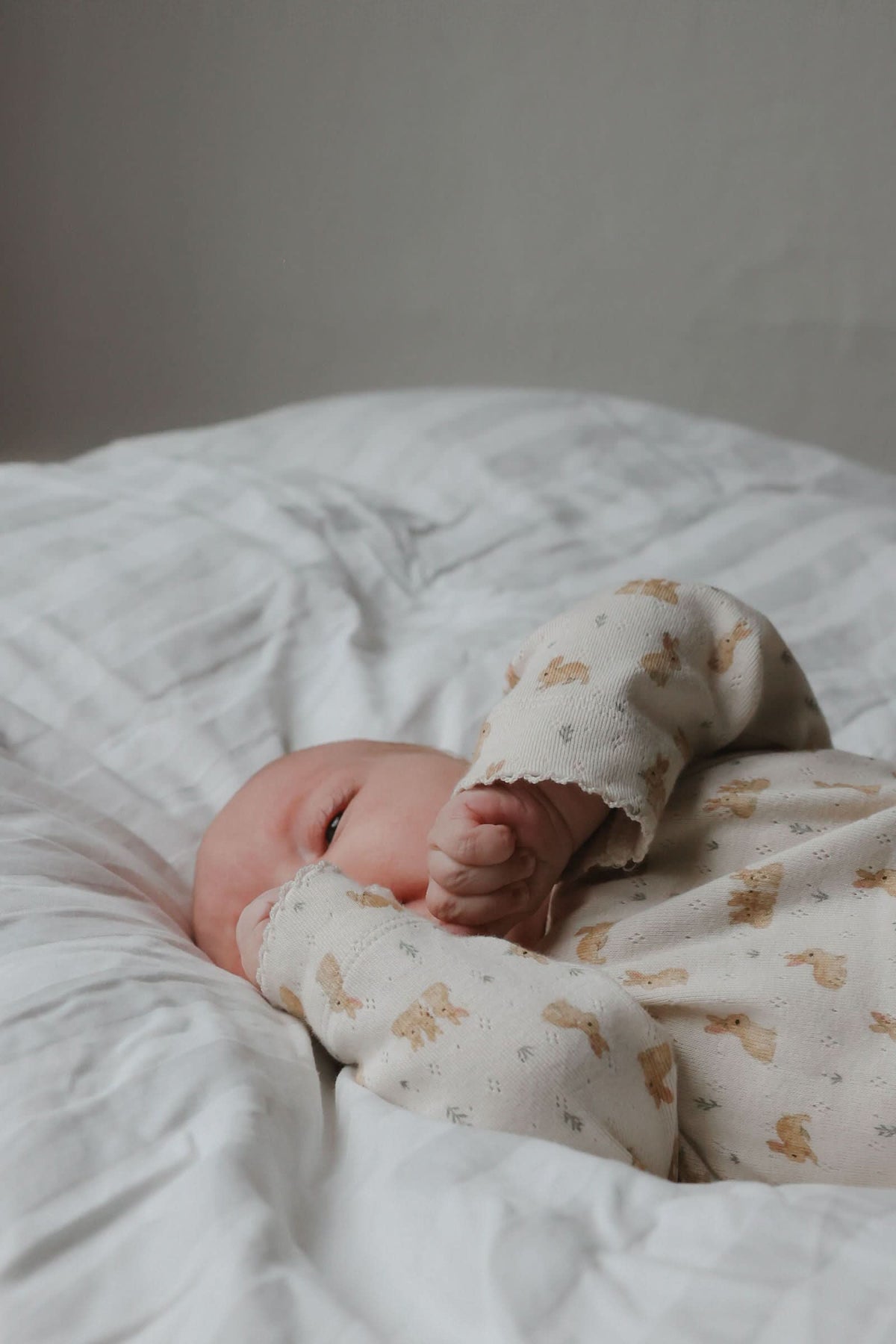 Dio Newborn Jumpsuit Fold Feet Pointelle - Eggnog Rabbit