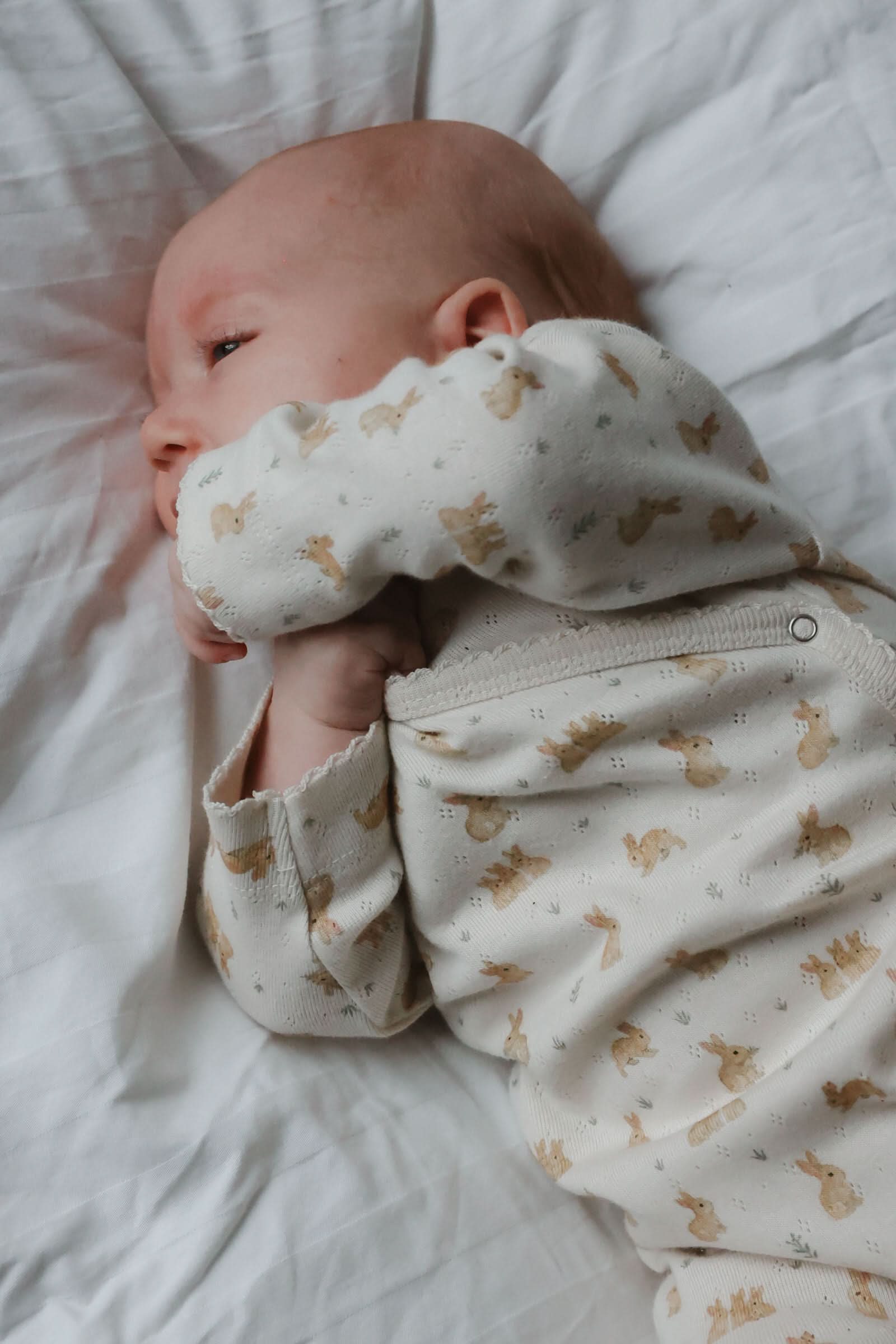 Dio Newborn Jumpsuit Fold Feet Pointelle - Eggnog Rabbit