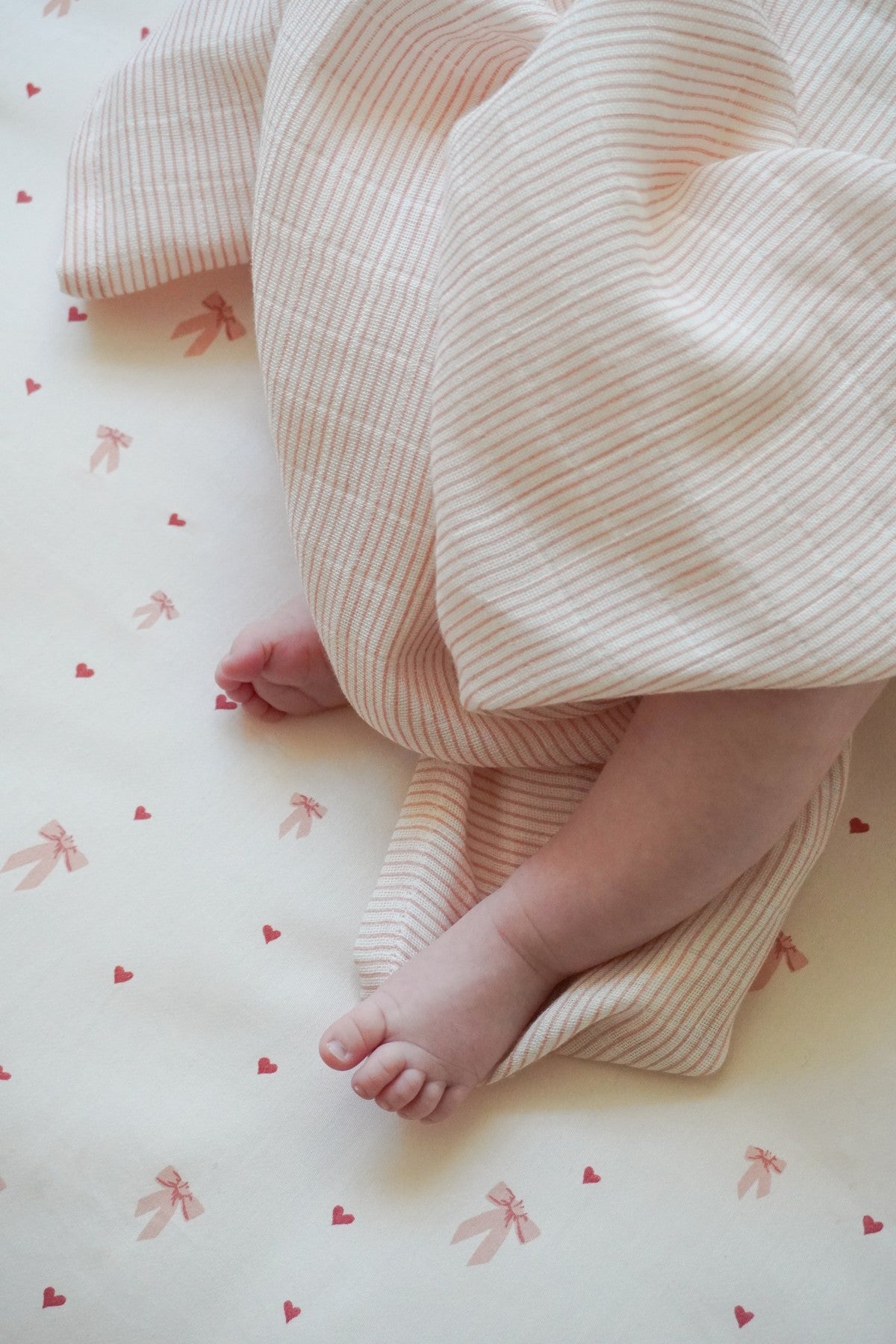 Muslin Cloth 2 pack - Classic Stripes Rose