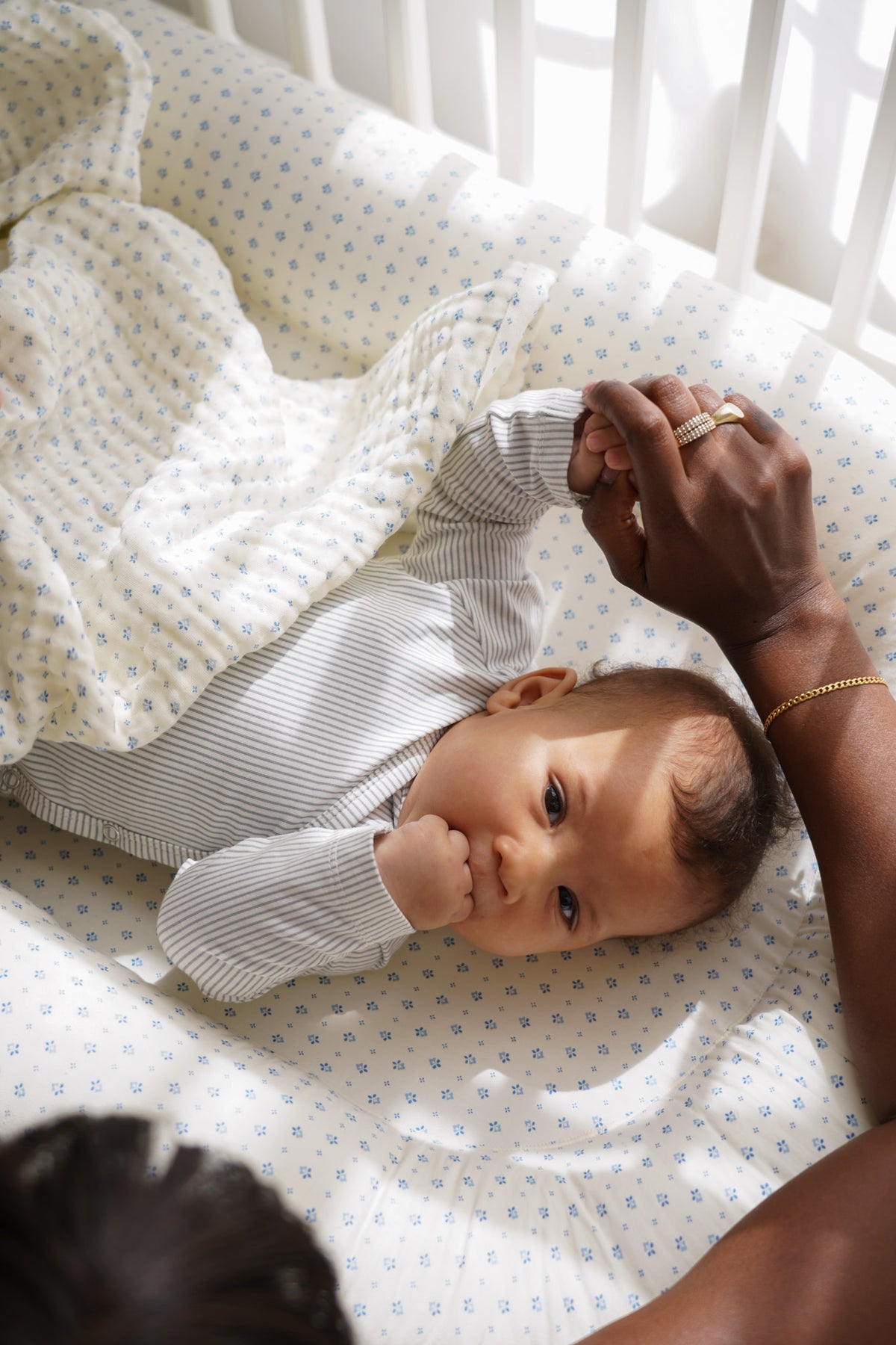 Baby Nest - Caprice