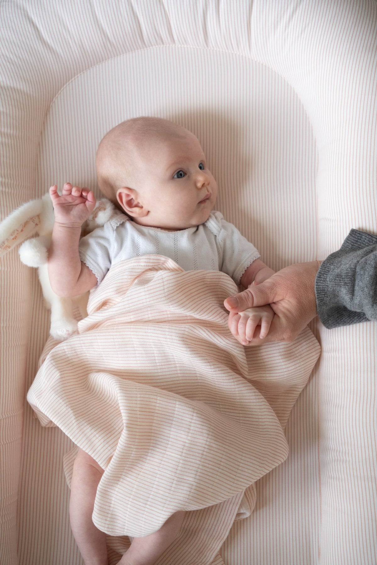 Baby Nest - Classic Stripes Rose