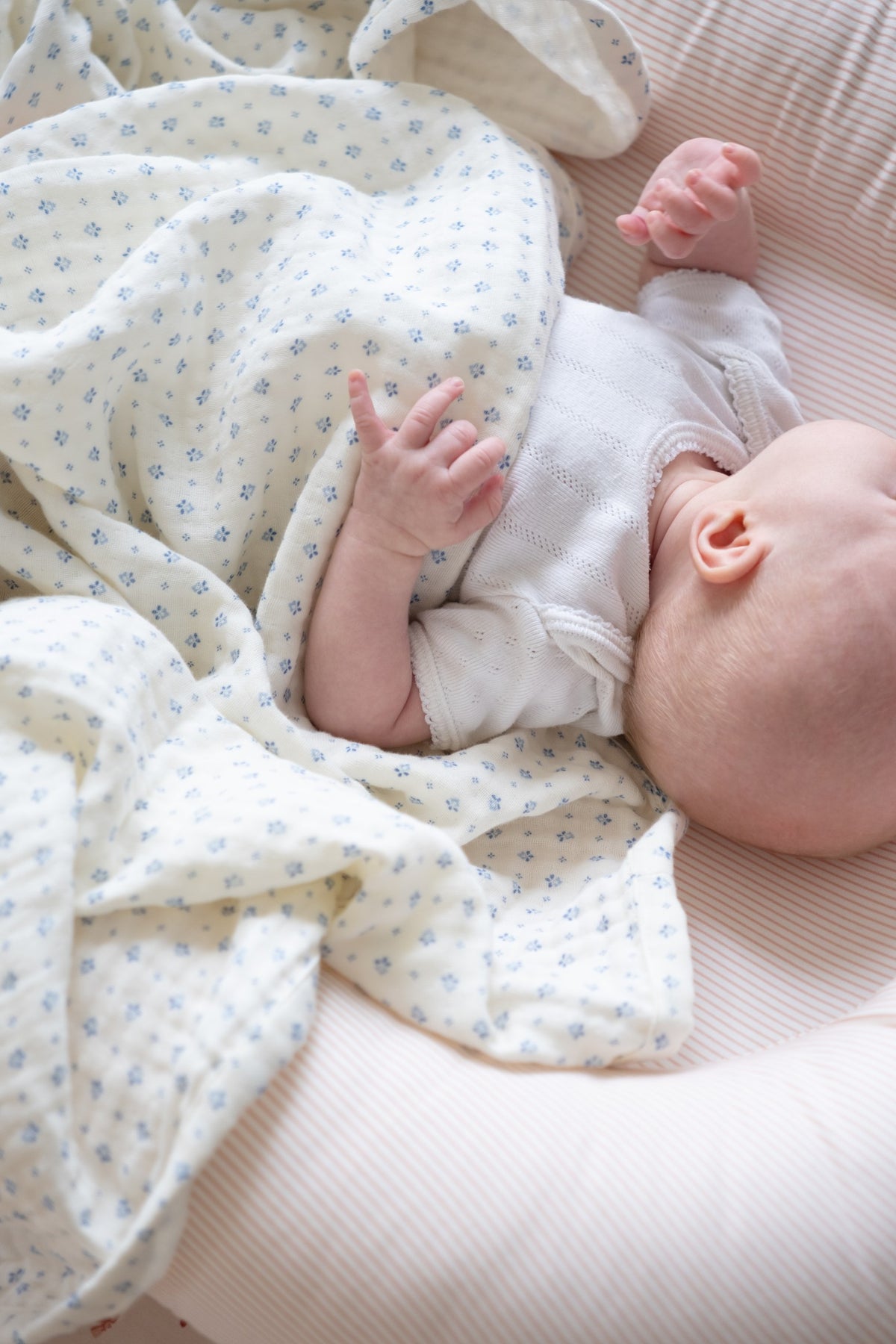 Baby Nest - Classic Stripes Rose