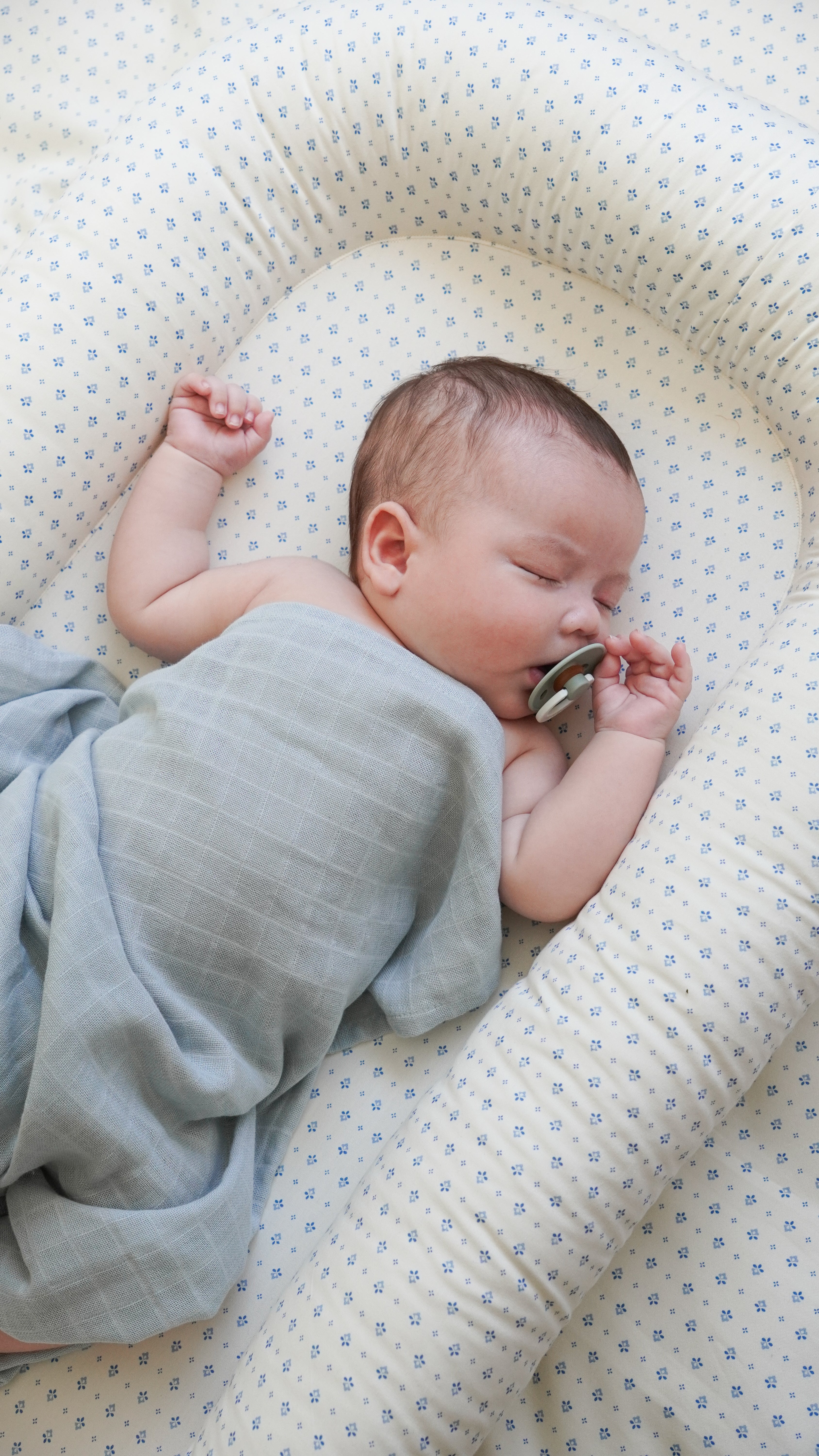 Baby Nest - Caprice