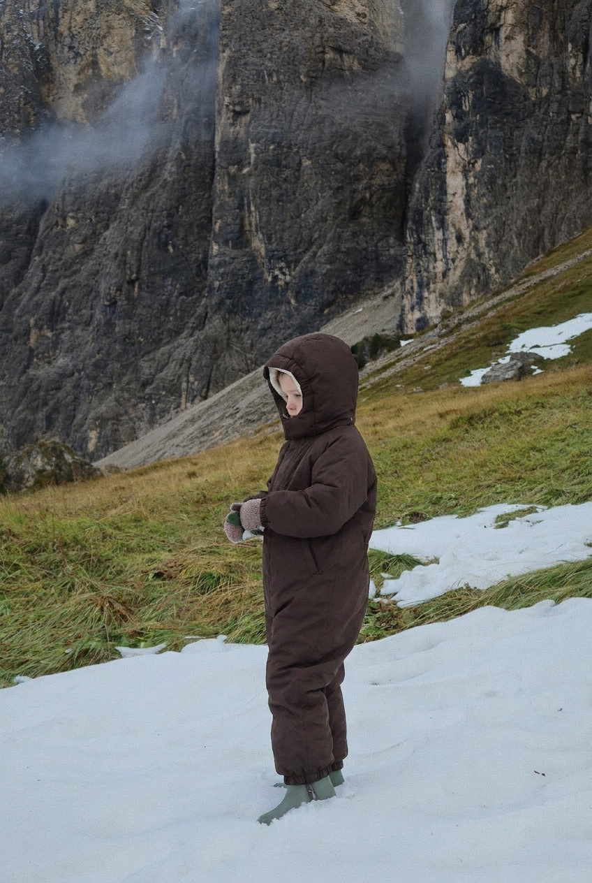 Award Snowsuit - Chocolate Brown