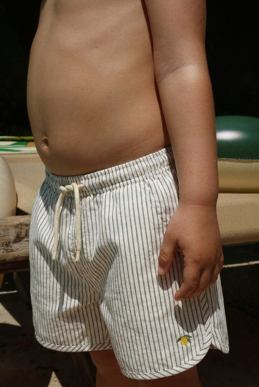 Asnou Swim Shorts - Tea Stripe