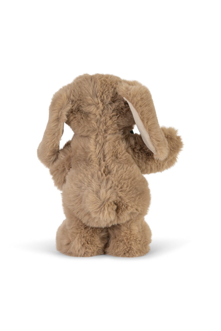 Dancing & Talking Bunny
